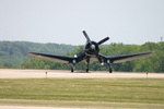 Gull wings.... love it
