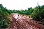 Saltos del Mocona (Misiones- Argentina)
