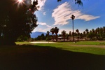 Furnace Creek Ranch-rear yard area