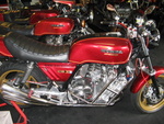 IMG 0248