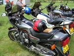 IMG 0258