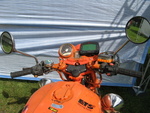 IMG 0262