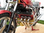 IMG 0265