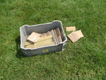 IMG 0286