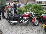 IMG 0332