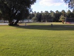 008-Kids playing in back area