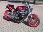 Custom No10