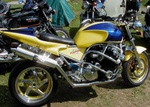 Custom No5