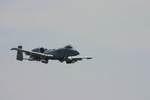 A warthog on a flyby