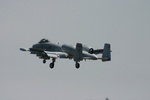 IMG 4088