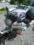 Northern Ontario BUGS, too many bugs