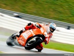 Nickey Haden stayed dry for the 2nd running of the Indianapolis MotoGP race finishing 3rd! Best finish for Ducati in  09'!!