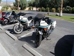 Darrell and Noel's '82 CBX's with Jeff Ellmore's bikes in background.