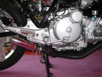 cbxter x-pipes installed